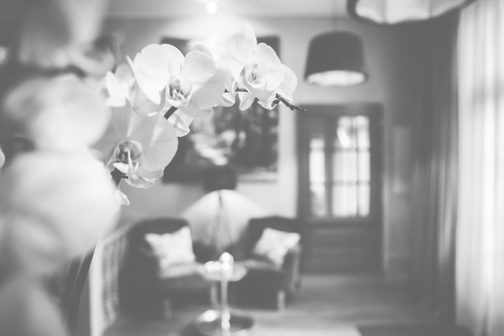Hotel Bellini 구스하겐 외부 사진